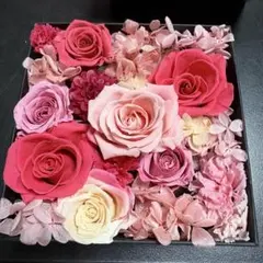 Item thumbnail for item 33596b9f-a2d6-4325-856e-dce039aaa8c0