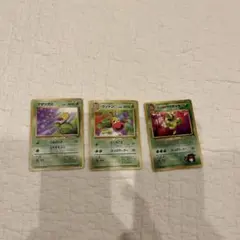 ポケモンカード 旧裏　マダツボミ ウツドン　エリカのウツボット　3枚セット