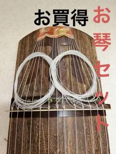 2025年最新】琴 13弦の人気アイテム - メルカリ