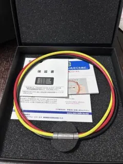 Item thumbnail for item 76cb9120-01c9-474a-a824-880511641bb5