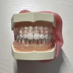 2026年最新】ニッシン歯科の人気アイテム - メルカリ