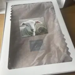 Item thumbnail for item b299090a-1406-466c-b35e-ee7fc731bc5a