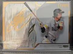 BBM 柳田悠岐 crown