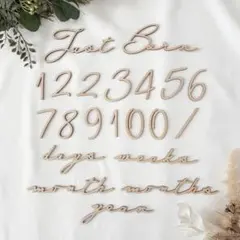 【セット割】木製 レターバナー 月齢フォト 21点セット / Aタイプ