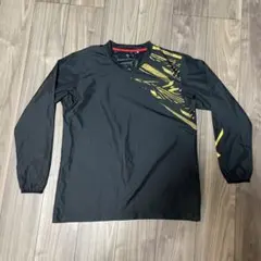 Item thumbnail for item b242162f-1bda-4fde-979d-86105f9d0d2f