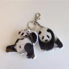 シャオシャオレイレイパンダ自身