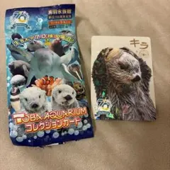 2026年最新】鳥羽水族の人気アイテム - メルカリ
