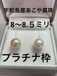 白蝶パール pt900 ピアス 南洋パール 南洋真珠 プラチナ アコヤ あこや