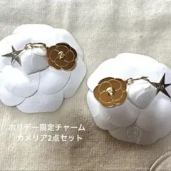 期間限定価格】シャネル 2025年 ホリデー チャーム 2点セット 非売品