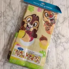 ディズニーリゾート　マフラータオル