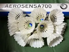 Item thumbnail for item 3d628fea-f2c5-477a-9002-f8b00820f114