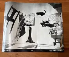 Item thumbnail for item 2308032d-0524-42c2-ae46-1b94d42d3b19