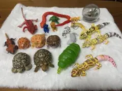 いきもの図鑑　　まとめ売り