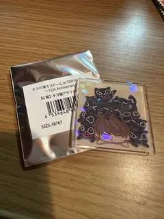 レア　キヨドーム 15周年くじ　G賞 アクリルバッジ キヨ猫いっぱいホログラム