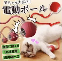 sea39様 リクエスト 2点 まとめ商品