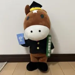 2025年最新】ターフィーぬいぐるみの人気アイテム - メルカリ