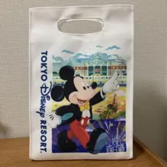 東京ディズニーリゾート ショッパー風トートバッグ ミッキー ミニー
