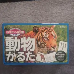 Item thumbnail for item 1539389e-a278-47bb-8399-c7aae7a3baf9