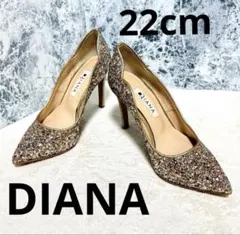 美品 DIANA ダイアナ メッシュ パンプス 24イントレチャートシルバー
