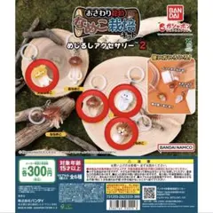 なめこ めじるしアクセサリー