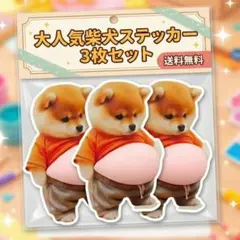 【大人気シール】柴犬　お腹　おなか　ぷにぷに シール スクイーズ　3個セット