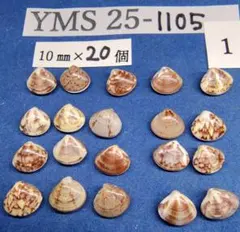 Item thumbnail for item cc0409eb-5150-42e7-b7ca-eee2cb5e1304