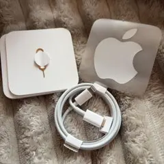 Apple 純正品 TYPE-C ライトニングケーブル他