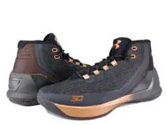 アンダーアーマー Curry 2 LE “Gold Rings” - メルカリ