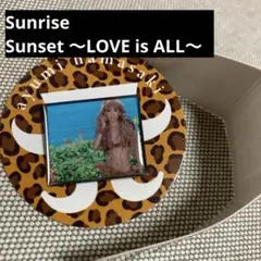 Sunrise/Sunset LOVE is ALL 浜崎あゆみ ピンズカプセル