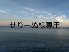 せりーぬ様専用応募券