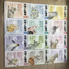 22冊 大学への数学2018年3月号～2022年9月号 一部抜け有り 大学への数学」2025年9月号 - 東京出版の公式直販オンラインショップ 語学・辞書・学習参考書
