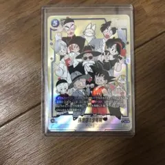 pip様 リクエスト 2点 まとめ商品