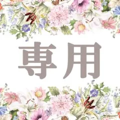 ❀専用❀ ゆみりん様追加分 ダブルフラワーカモミール 無農薬 苗_33