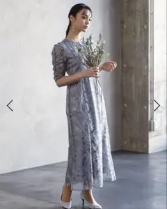 【超美品】AIMER エンブロイダリーチュールパイピングドレス