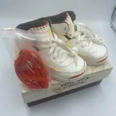 ナイキ エアジョーダン2×メゾンシャトールージュ 15cm 箱付