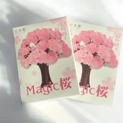 【訳あり特価】まじっくさくら Magic桜 2個セット　日本製
