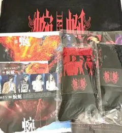 DIR EN GREY TOUR25 蜿蜒 仙台 お土産