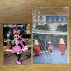 東京ディズニーリゾート TDR ポストカード フォト ミニー 実写 旧フェイス