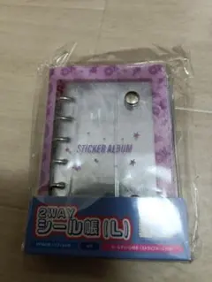 PEANUTS 2WAYシール帳 (L) スヌーピー