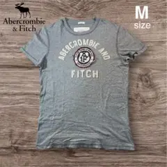 Abercrombie & Fitch Tシャツ 00s フェルトロゴ Y2K