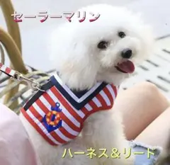 わんちゃんかわいいセーラーマリンハーネスセットのサムネイル