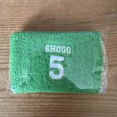田島将吾