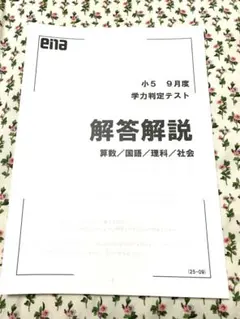 【2024年度版】 ena 小学5年生 パースペクティブ テキスト 1年分 ena パースペクティブ 小5 文系 上下セット - メルカリ