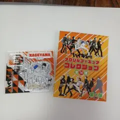 ハイキュー!! KAGEYAMA アクリルスタンド 第1巻
