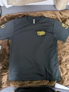 Item thumbnail for item 629aace6-37c9-494a-9c66-fb8ab150e912