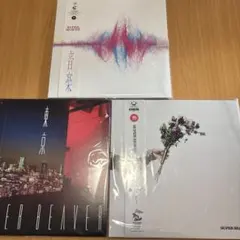 新品未使用　super beaver レコード