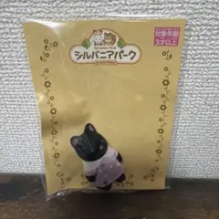 シルバニアパーク　ほしぞらネコの赤ちゃん／シルバニアファミリー、クイズラリー