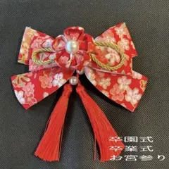 Item thumbnail for item 153d0fcb-db11-4587-95f5-0a4548070aa1