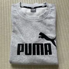 Item thumbnail for item 23519d13-2436-419e-bffa-24c460a08f6a