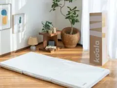 コアラフトン OASIS